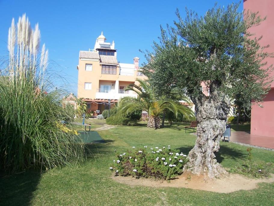 Ferienwohnung Bajo Con Terraza Piscina Y Jardin Sanlúcar de Barrameda Exterior foto